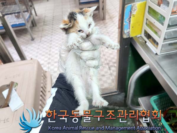 한국동물구조관리협회_411317202300108